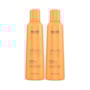 Richée Argan e Ojon Kit 2 Finalizadora Máscara 250ml