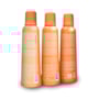 Richée Argan e Ojon Shampoo 250ml + Condicionador 250ml + Leave-in 250ml Richée Argan e Ojon Shampoo 250ml + Condicionador 250ml + Leave-in 250ml