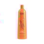 Richée Professional Argan e Ojon Beauty Control 1L