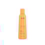 Richée Professional Argan e Ojon Kit 3 Shampoo 250ml