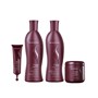 Senscience True Hue Violet Shampoo 280ml + Condicionador 240ml + Inner Restore Intensif 500ml +1 Ampola V6