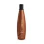 Shampoo Aneethun Kera Reestruturante 300 ml