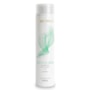 Shampoo Aneethun Shampoo AntiQueda 300 ml