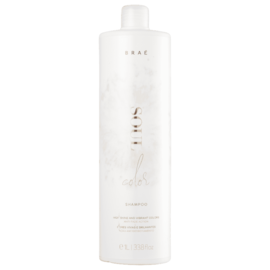 Shampoo Braé Soul Color 1 Litro