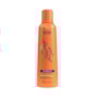 Shampoo Richée Argan e Ojon 250 ml