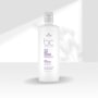Shampoo Schwarzkopf Frizz Away 1 Litro