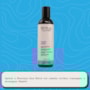 Soul Clinic Óleos Essenciais Lavanda Shampoo 240ml