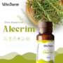 Vita Derm Óleo Essencial de Alecrim 10ml Vita Derm Óleo Essencial de Alecrim 10ml