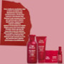 Wella Professionals Ultimate Repair Kit Home Care (4 Produtos)