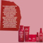 Wella Professionals Ultimate Repair Kit Home Care (5 Produtos)