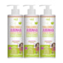 Widi Care Finalizando A Jubinha Leve Kit 3 Creme de Pentear 300ml