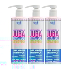 Widi Care Higienizando A Juba Kit 3 Shampoo 500ml