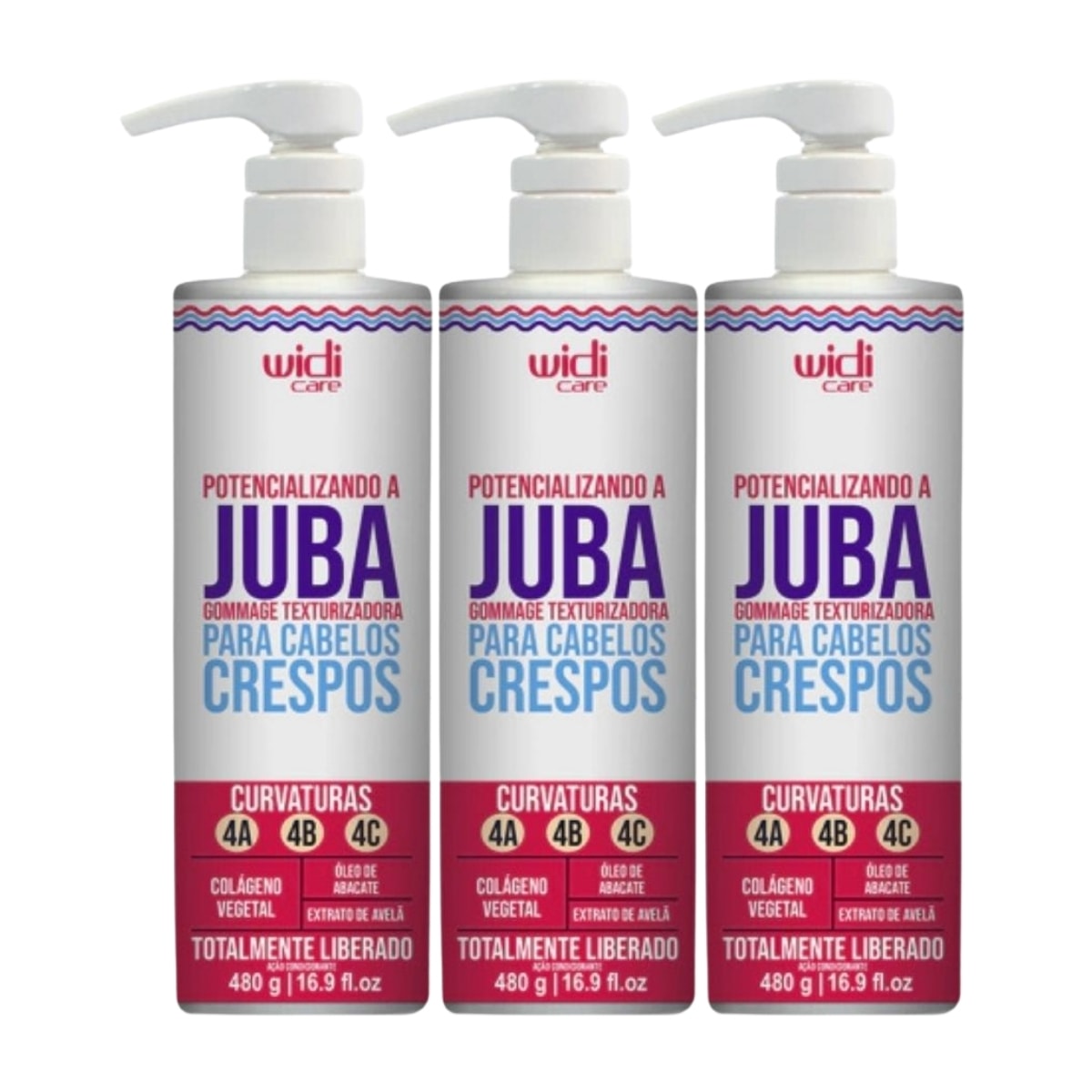 Widi Care Potencializando A Juba Kit 3 Texturizadora 480g Widi Care Potencializando A Juba Kit 3 Texturizadora 480g